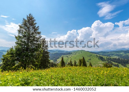 Green hillside in the village Royalty-Free Stock Photo #1460032052