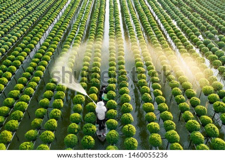 A farmer watering his flowers in the Mekong Delta, Vietnam
