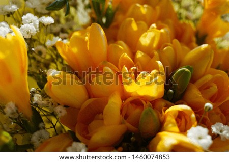 A bouquet consisting of freesia and foggy flower.                                                               