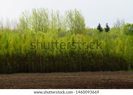  farmland with green trees in the background, spring                              