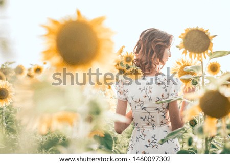 Young woman in straw hat in sunflowers field. Back view.