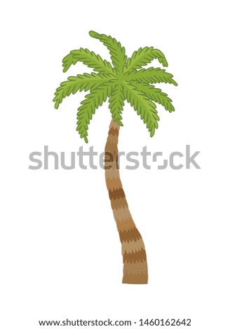 Vector illustration palm tree isolated on white background. Coconut tree. Palm tree. Tourism, travel symbol, sign.