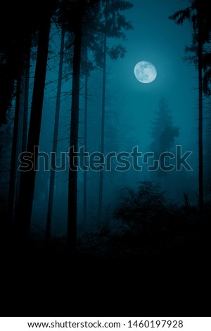 Full over the spruce trees in magic mystery night foggy forest. Halloween backdrop.