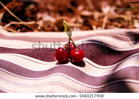 
three cherries on a twig lie on a wrap on the background of nature