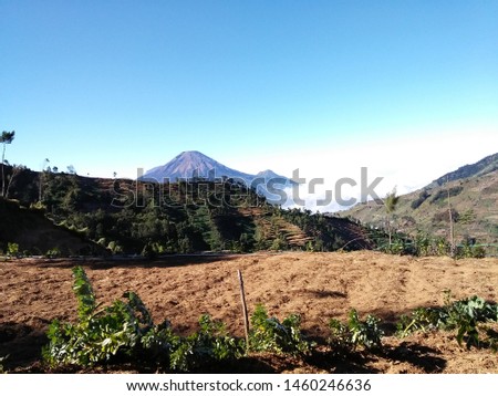 See Mount Sindoro and Mount Sumbing from the slopes of Mount Prau Dieng