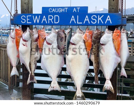 Halibut and yellow eye rockfish caught in Seward, Alaska