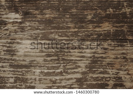 different wood texture for backgrounds 
