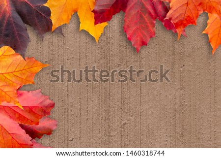 Border of autumn leaves on a beige textured background - a beautiful template for an autumn card or congratulations
