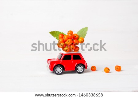 Red toy car with rowan on the roof on a white wooden background. Autumn greeting card concept.