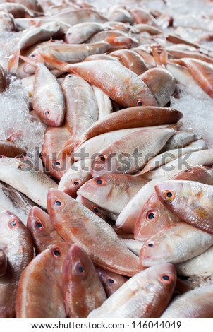 variety of fresh fish seafood in market