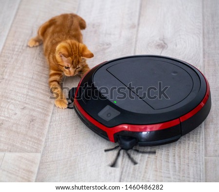 red kitten playing with a robot vacuum cleaner. the photo is made in a light key with partial blur