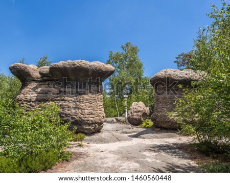 The natural sandy rock formation Mushrooms (Skalní hřiby) in Broumovske steny national park. Czech Republic, Broumovsko. Royalty-Free Stock Photo #1460560448