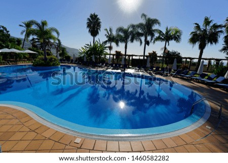 A pool water reflecting the sun surrounded by chaise lounges and palm trees on a sunny day