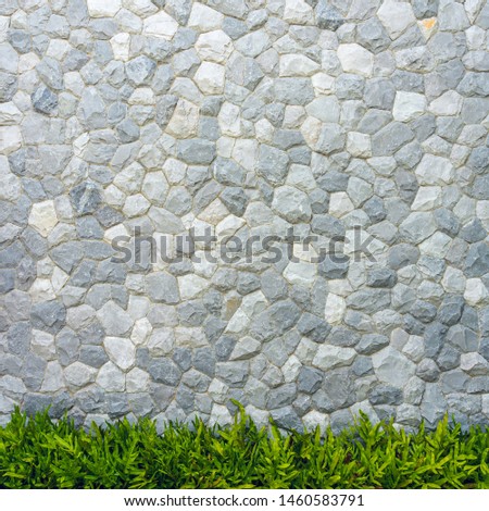 Stone wall texture with green leaves fern for background.