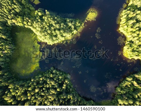 Lake and forest view from above. Aerial photo.