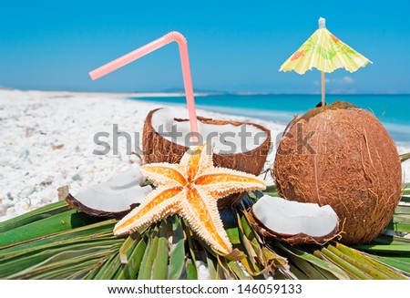 coconuts by the shore on a clear day
