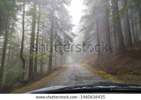 View of a small narrow road with a beautiful forest landscape from the car window and light fog around in an early morning