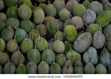 Durian or The King of Fruits seen at a durian vendor in Petaling Jaya, Selangor. Royalty-Free Stock Photo #1460646095