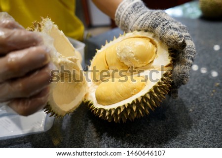Durian or The King of Fruits seen at a durian vendor in Petaling Jaya, Selangor. Royalty-Free Stock Photo #1460646107