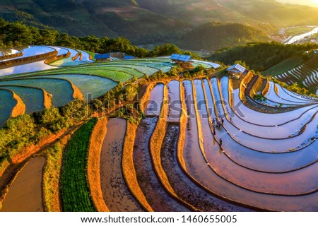 Rice and Water on terraces Mu Cang Chai, Yen Bai, Vietnam same world heritage Ifugao rice terraces in Batad, northern Luzon, Philippines. Aerial view