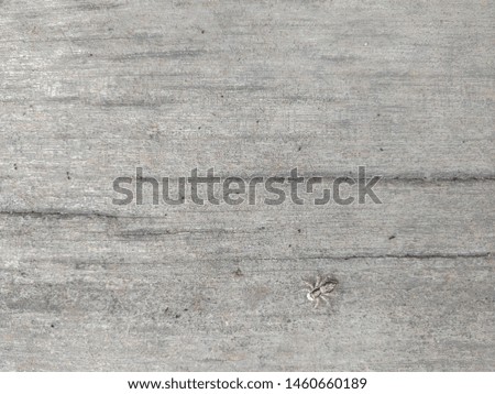 Beautiful wood grain Copy space
background