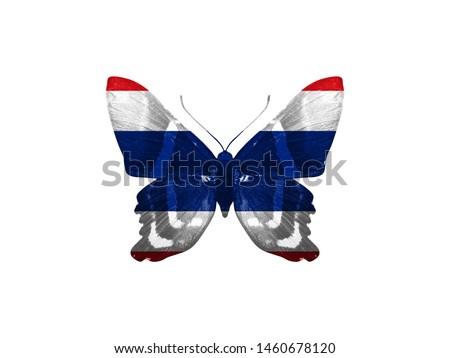 Thailand flag on butterfly wings isolated on white background