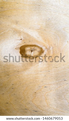 Closeup of beautifully textured plywood board.  