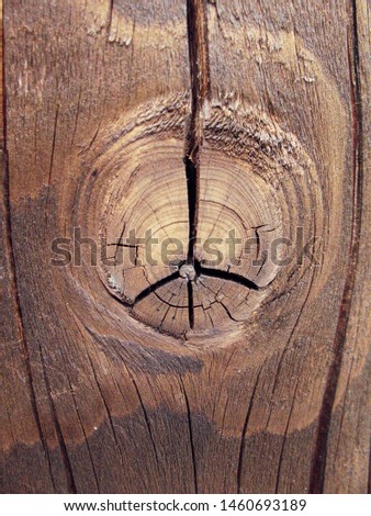 Old cracked wood in garden. Nature wood background. Texture pattern of figured cracked bark.