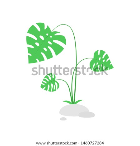 green bush with tropical leaves. flat cartoon style trend modern monstera logotype graphic design isolated on white background. concept of big exotic plant in the jungle or in the resort