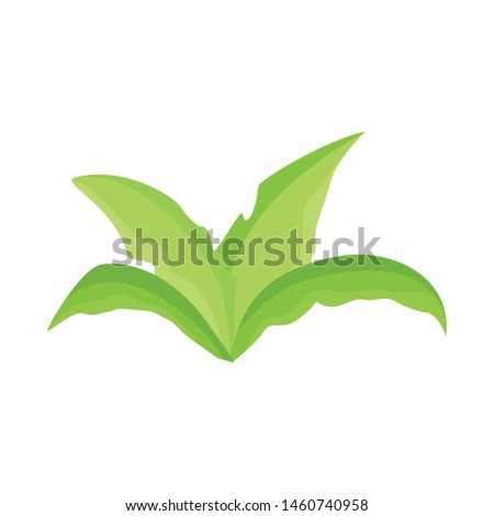Vector design of shrubbery and field icon. Set of shrubbery and fresh vector icon for stock.