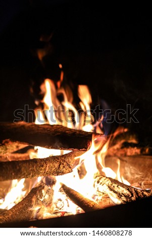 Beautiful campfire in the garden