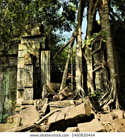 Beng Mealea ancient temple in the jungle, Cambodia