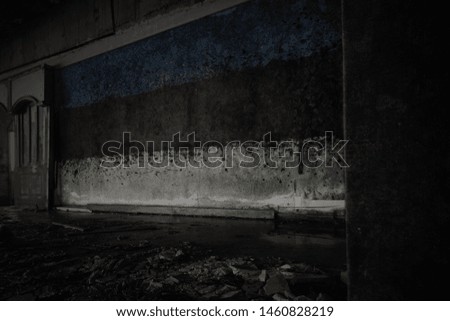 painted flag of estonia on the dirty old wall in an abandoned ruined house. concept