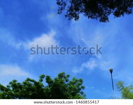 Bare tree branches on sky background