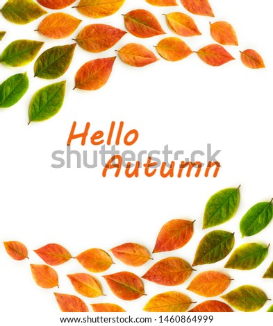 Multicolored dry autumn leaves on white background. Autumn concept. Top view, flat lay, copy space with text Hello Autumn.