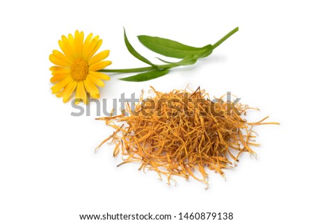 Calendula flower and a heap of dried leaves isolated on white background