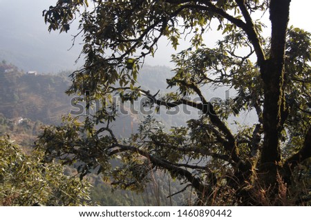 Thse are pics of Mukteshwar Area of Uttarakhand, India