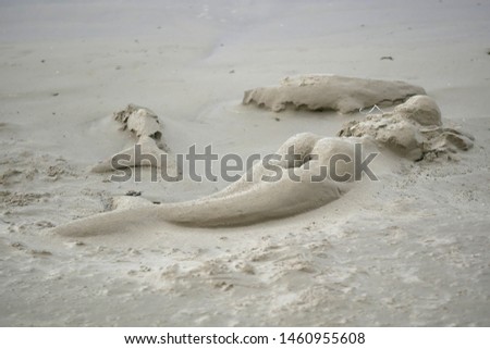 figure mermaid out of the sand on the beach