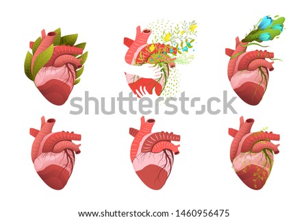 Heart Human Organ Blooming and Healthy Clip Art Collection. Human heart internal organ design set. Flat and 3d heart vector medical and health illustration collection decorated with flowers and leaves