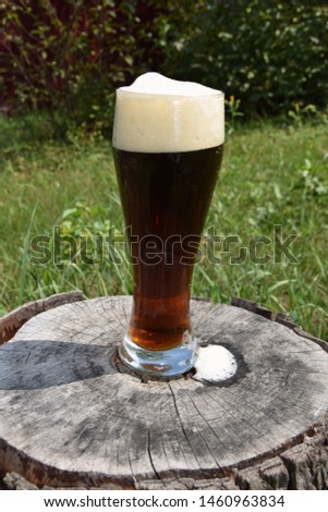 On a bar from a tree stands in a glass of dark beer foam on a Sunny day