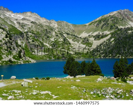 Nature reserve of Neouvielle with its lakes rhododendrons... Mountains Pyrenes France 