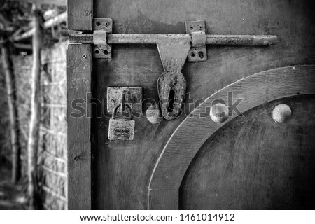 Ornate decorative element on the door with shallow depth of field, closeup in black and white