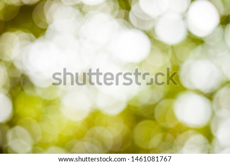 colorful natural green bokeh background, abstract light background of tree