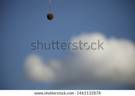 Pic of the Sky catching the ball