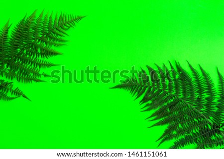 Creative tropical flat view. Tropical leaves, fern, trend background with copy space.Bold coler green