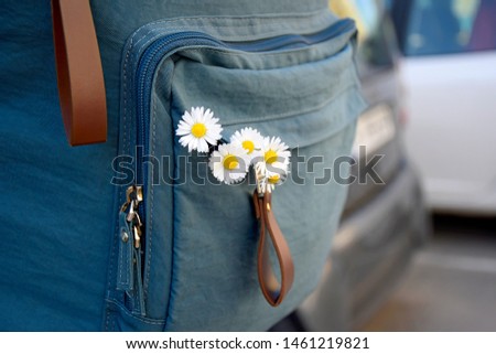 Travel, holidays, vacation: White daisies inside backpack. Flowers in girl's backpack. Five field daisies inside backpack. Backpack which bouquet of camomiles sticks out. Close-up. Selective focus. Royalty-Free Stock Photo #1461219821