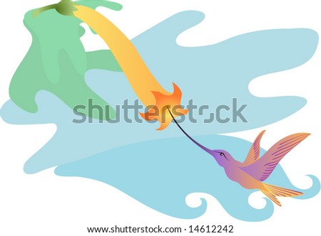 hummingbird & flower