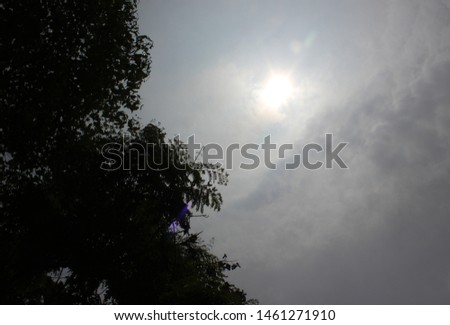 Direct capture of bright sun sunlight outdoor shot with white bright indian cloudy sky along side a tree.