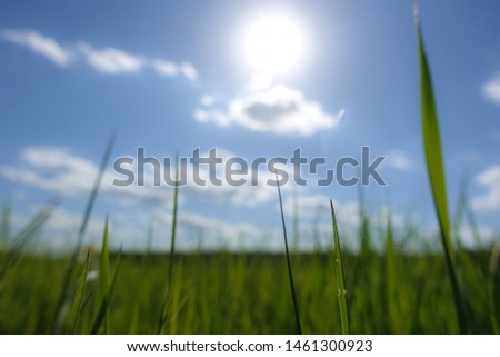 The sun shines over a grassy field and clouds int he sky.