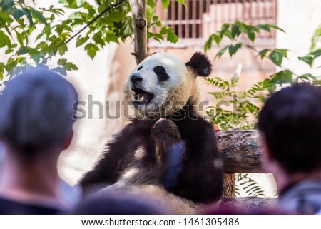 2019.06.20, Moscow, Russia. Group of parents and their children by the glass of aviary where panda bear live. People walking around zoo park.